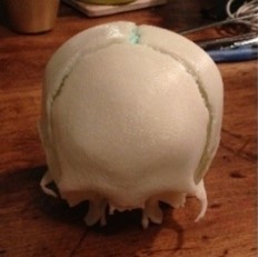 3D Printed Physical Model